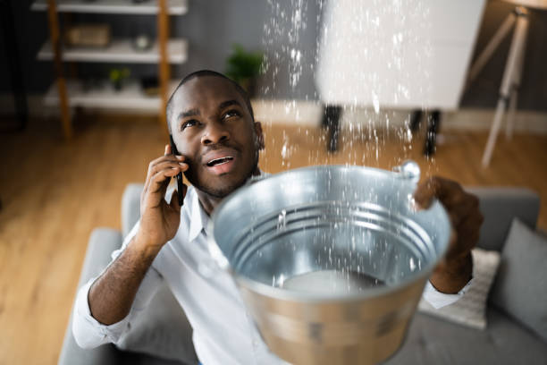 Best Flood restoration services  in Cashton, WI