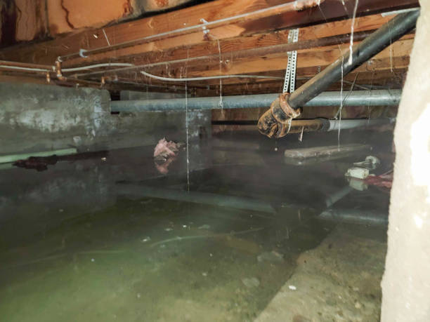 Best Residential water damage restoration  in Cashton, WI