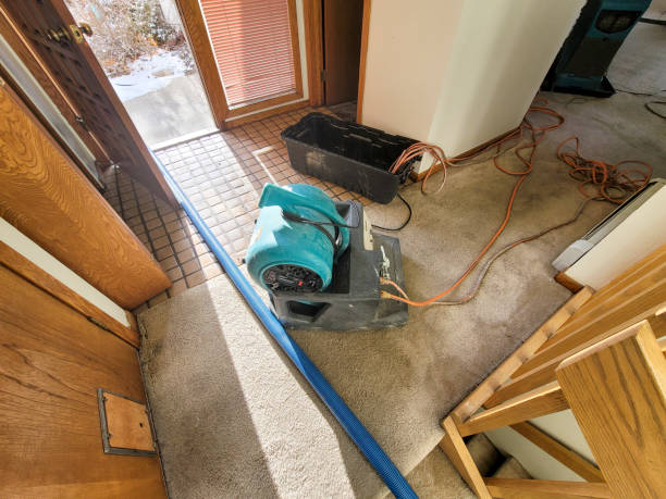 Best Basement water damage restoration  in Cashton, WI