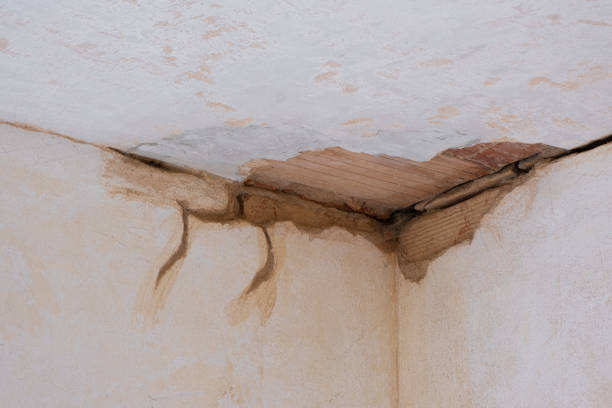 Best Water damage contractors near me  in Cashton, WI
