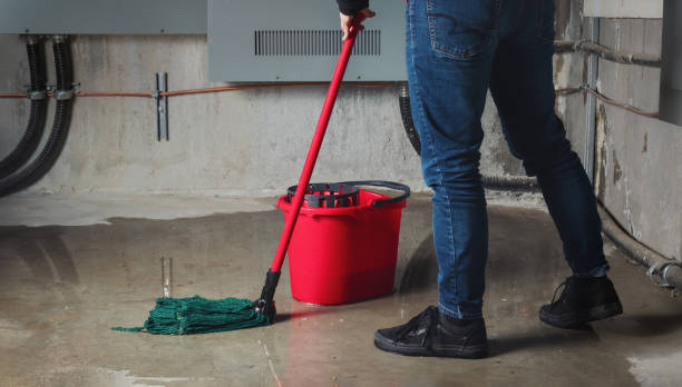 Reliable Cashton, WI Water damage restoration Solutions