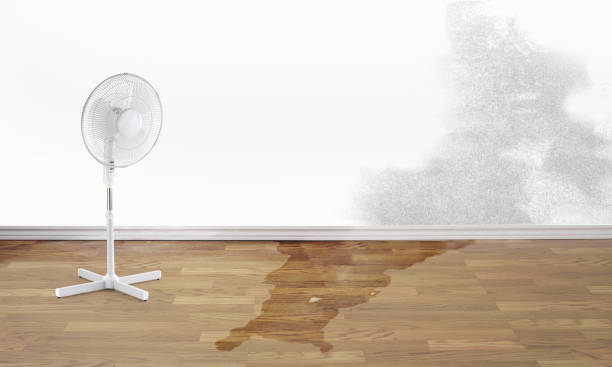 Best Flood damage cleanup  in Cashton, WI