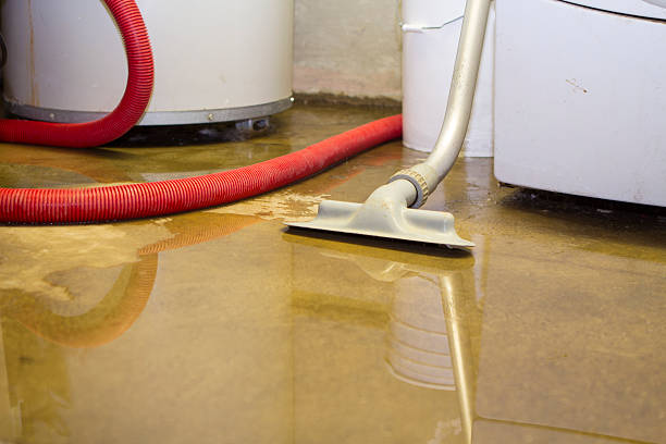 Best Water damage restoration services  in Cashton, WI